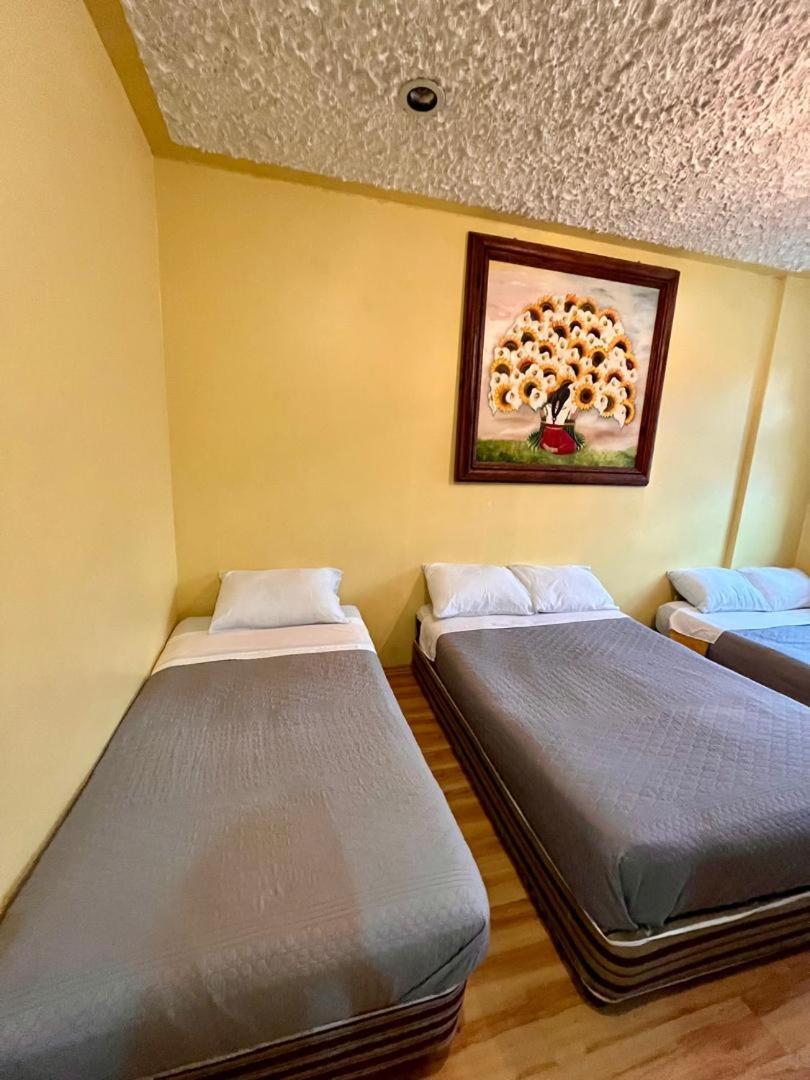 Guest house Gran Mexico City